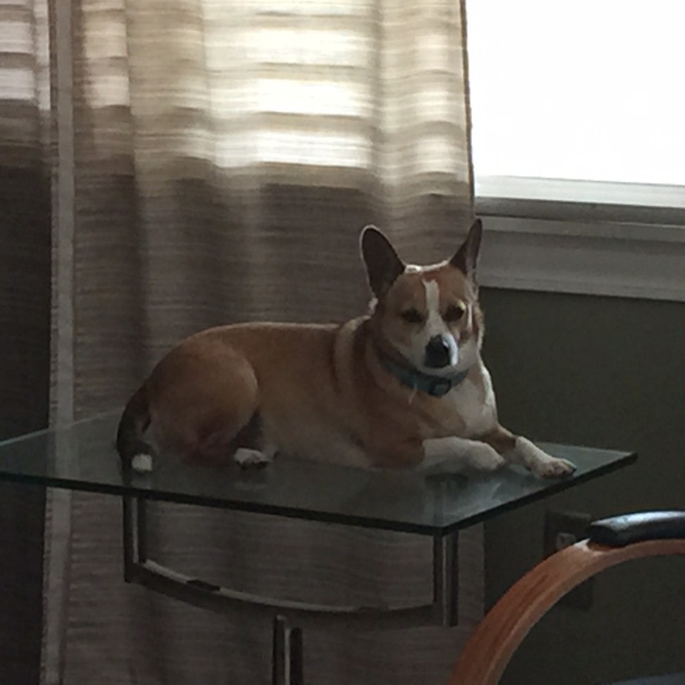 Meet your Posher, Ed